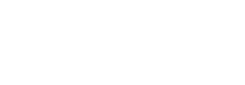 ViperIT
